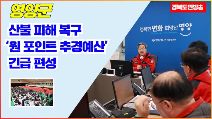 영양군청 오도창군수 산불 피해 복구‘원 포인트 추경예산’긴급 편성 기사 이미지