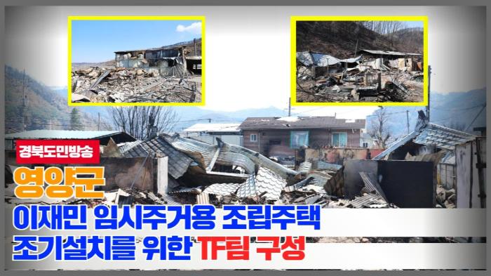 영양군청 오도창군수 이재민 임시주거용 조립주택 조기설치를 위한 TF팀 구성 기사 이미지