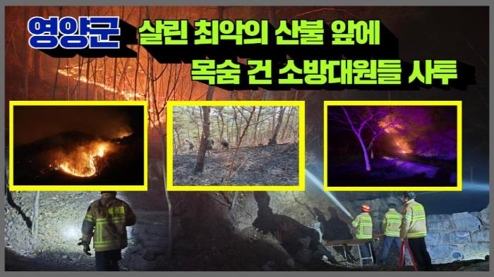 영양군청 오도창군수 영양군을 살린 최악의 산불 앞에 목숨 건 소방대원들 사투 기사 이미지