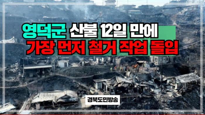 영덕군청 김광열군수 산불 12일 만에 가장 먼저 철거 작업 돌입 경북포털 국민의소리 기사 이미지