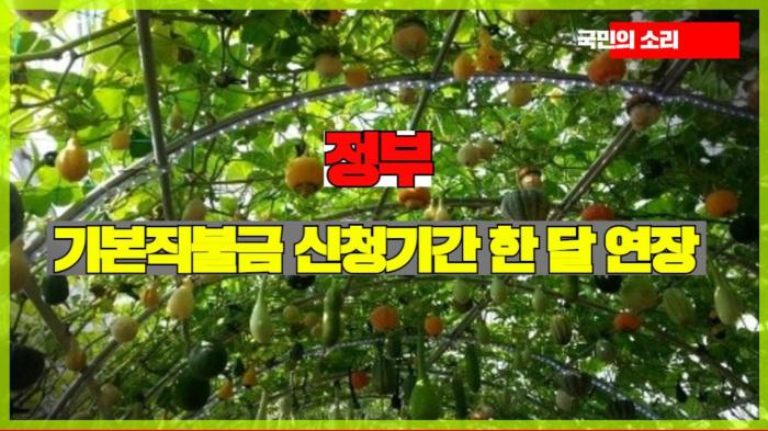  정부, 기본직불금 신청기간 한 달 연장   경기포털 국민의소리 기사 이미지