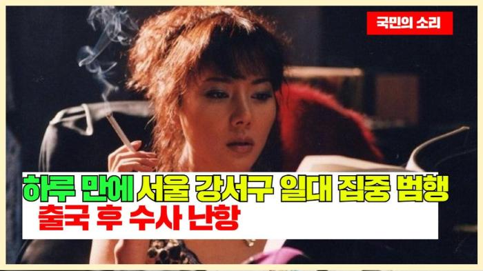 하루 만에 서울 강서구 일대 집중 범행… 출국 후 수사 난항 인천포털 국민의소리 기사 이미지