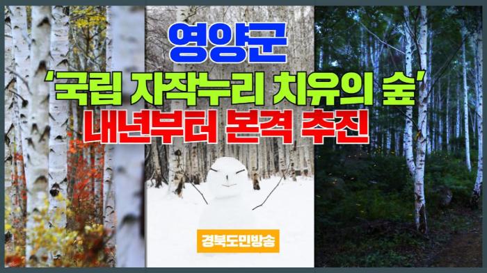 영양군청 오도창군수 ‘국립 자작누리 치유의 숲’ 내년부터 본격 추진 기사 이미지